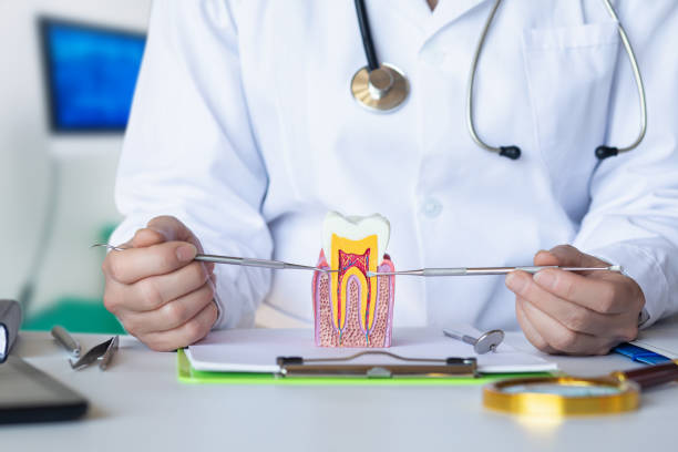 Best Chipped Tooth Repair Near Me  in Dilworthtown, PA